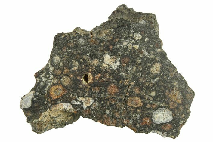 Chondrite Meteorite Section ( g) - NWA #287884